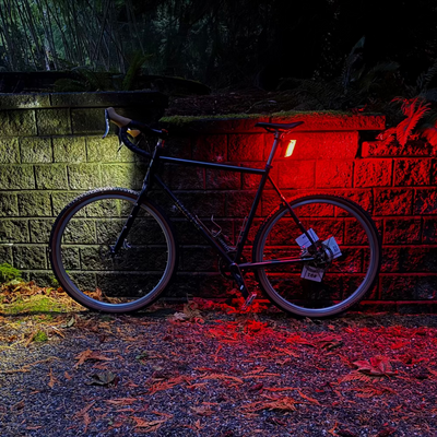 Bicycle leaning against a brick wall with red tail lighting