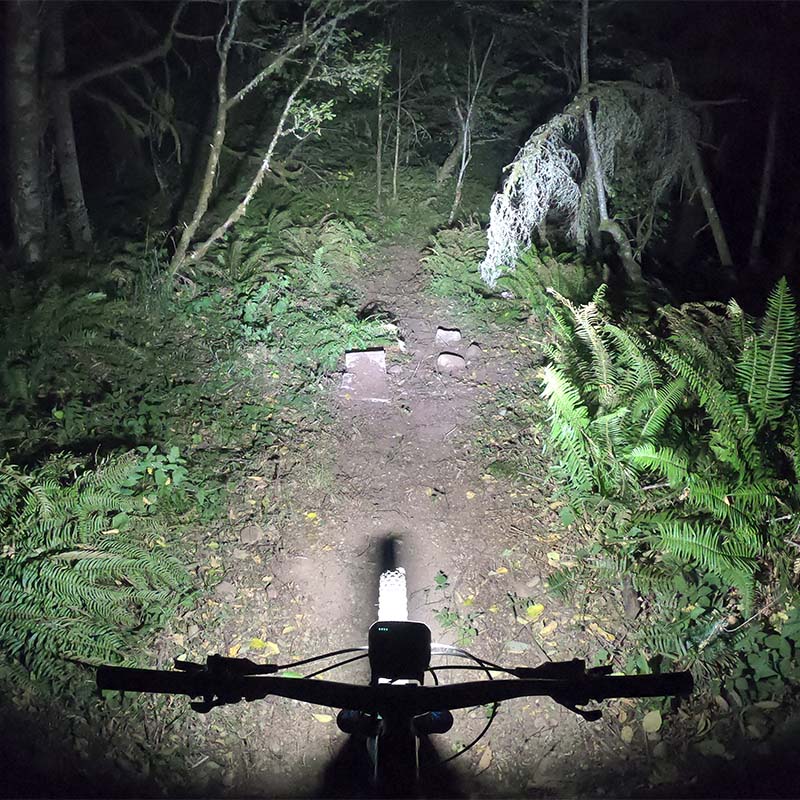 Trail Evo bike light beam pattern in the woods, showing how bright the light is.