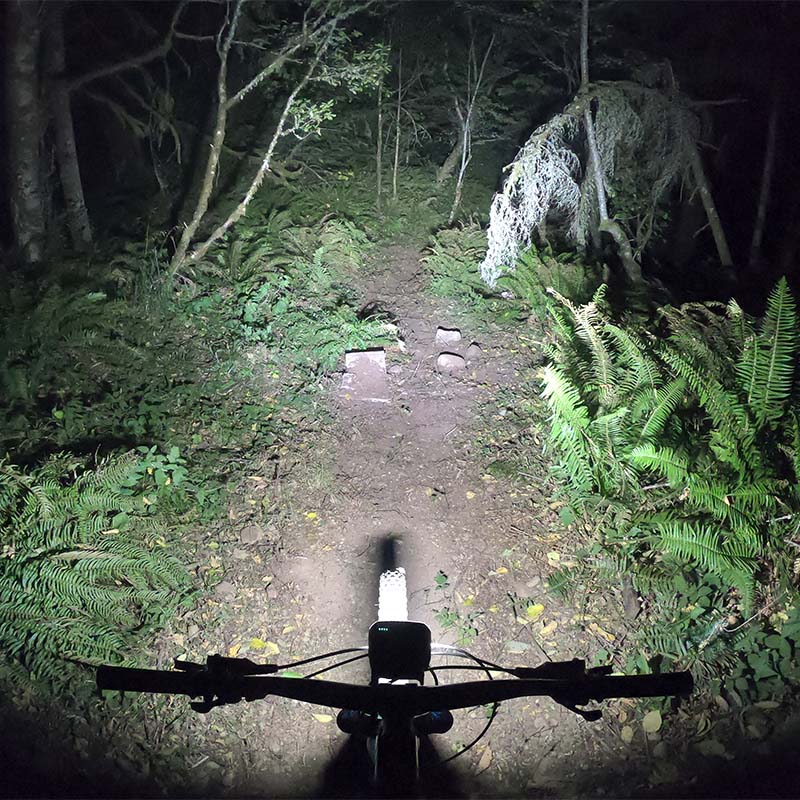 Trail Evo bike light beam pattern illuminating a forest trail